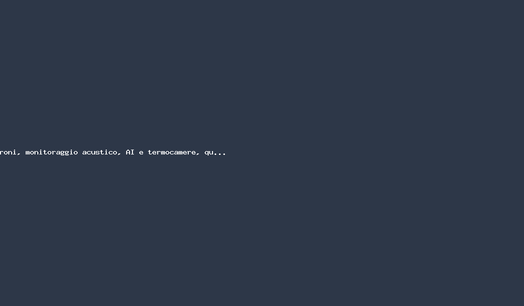 Droni, monitoraggio acustico, AI e termocamere, quale altra tecnologia serve per fermare il massacro di uccelli migratori? – Wired
