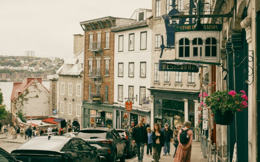 A Pignola la tecnologia incontra le human skills – Virgilio