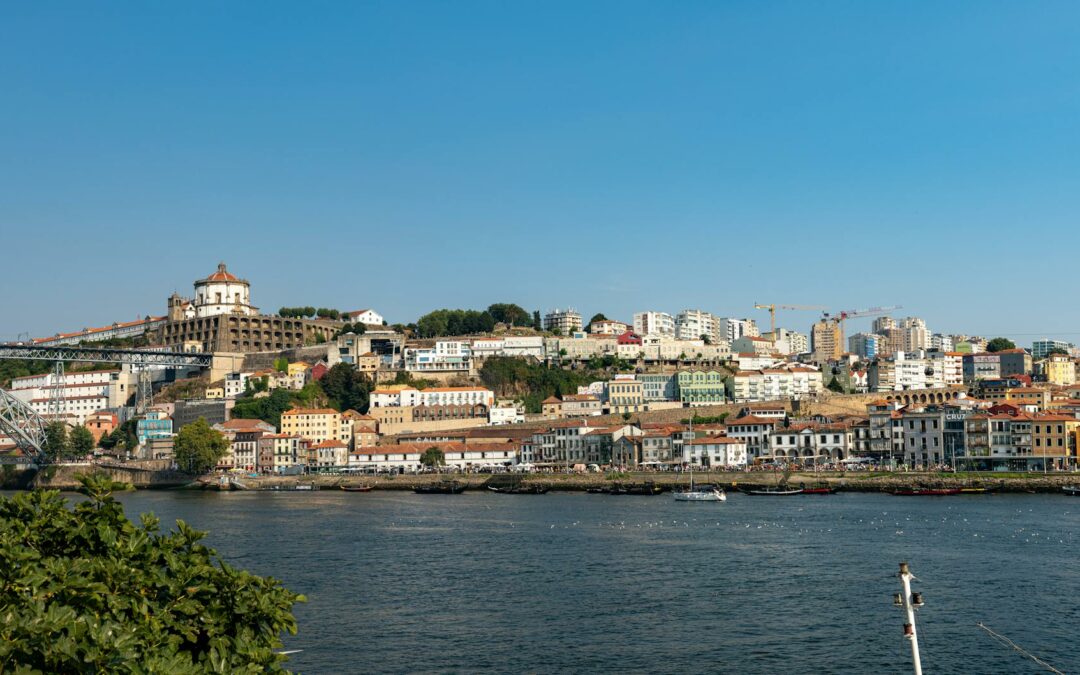 BingX SUPERA i 40 Milioni di Utenti nel 2025