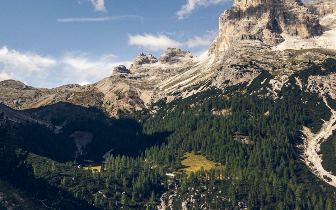 L’IA può portare all’estinzione, l’allerta di decine di ricercatori