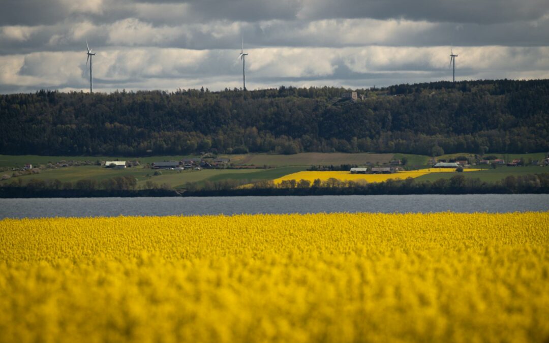 Patterson-UTI Energy Q2 2025 investe in tecnologia