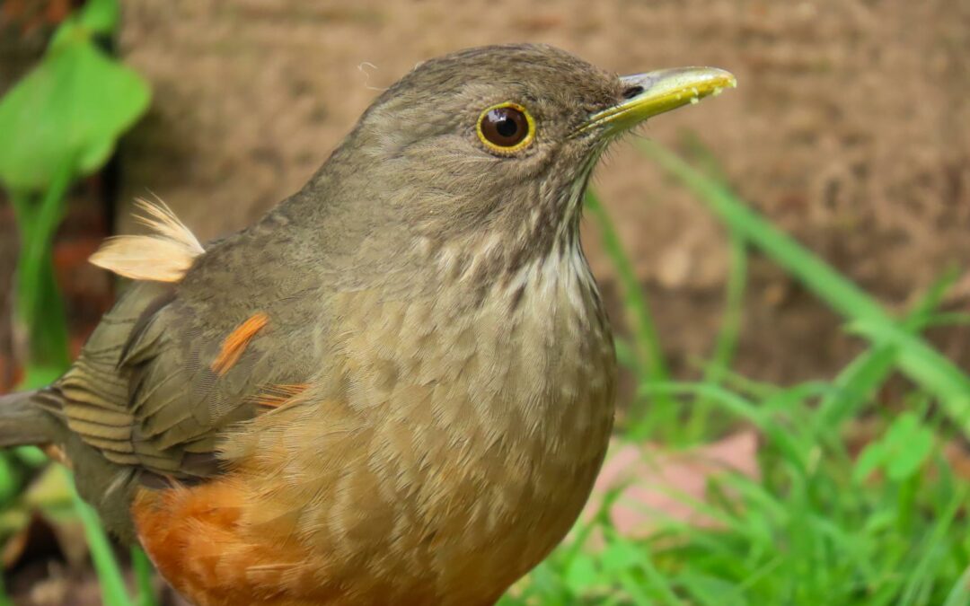 “Perché parlare di bolla dell’IA è un’ossessione senza senso”
