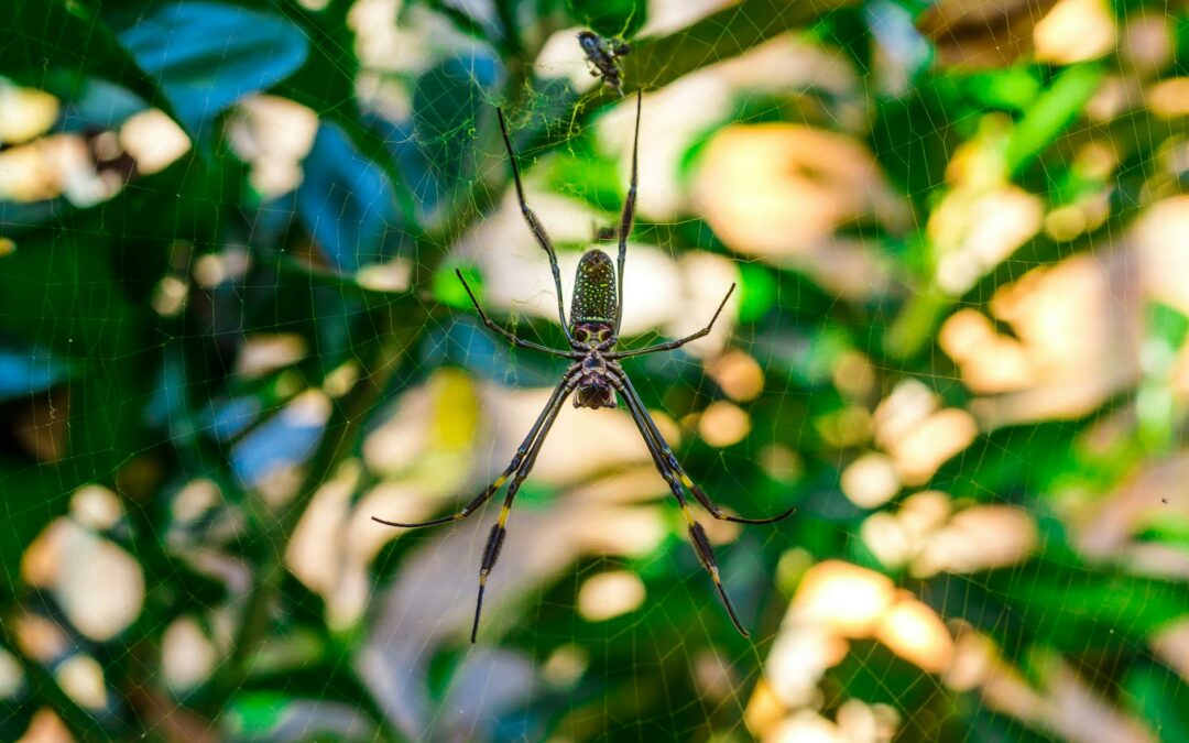 come cambia la navigazione sul web