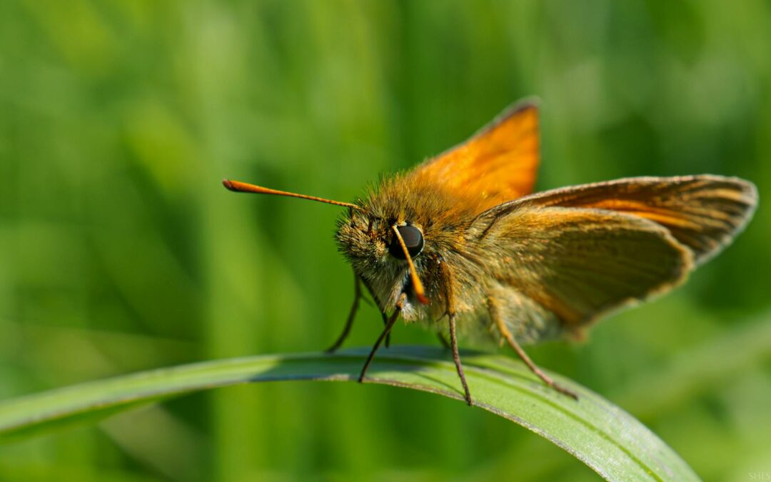 meno radiazioni e tempi più veloci